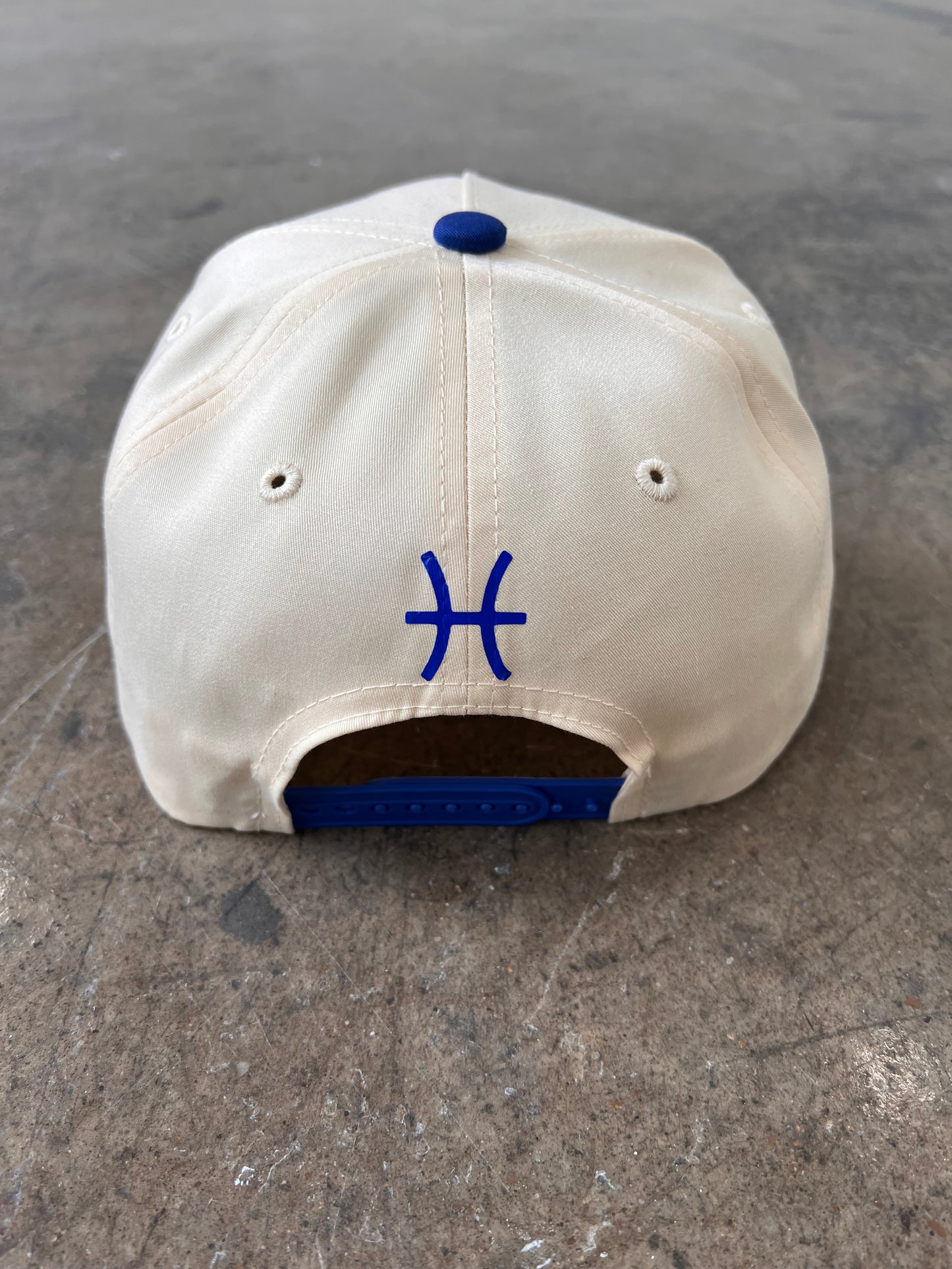 Pisces SnapBack Hat